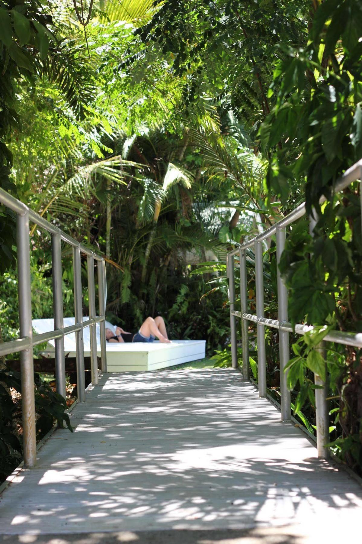 Absolute Backpackers Mission Beach Dış mekan fotoğraf