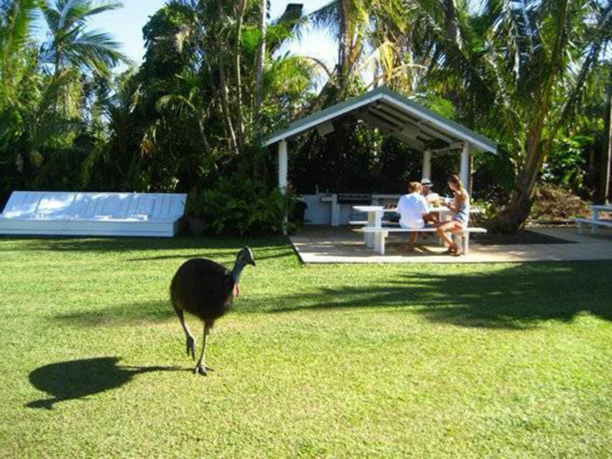 Absolute Backpackers Mission Beach Dış mekan fotoğraf